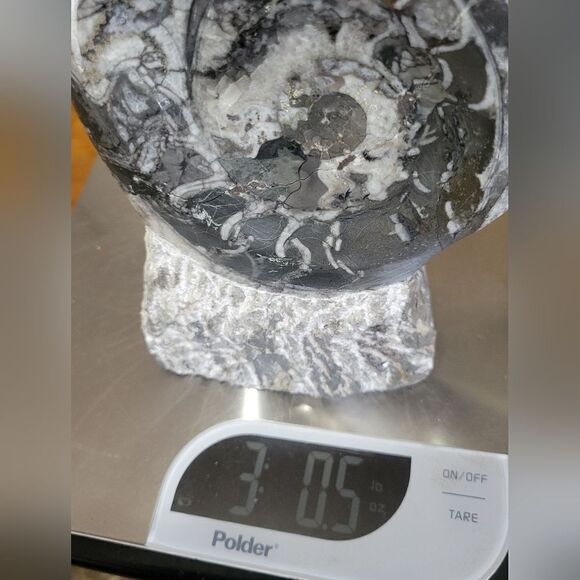 Ammonite & Goniatte Fossil Free Standing - Picture 9 of 9